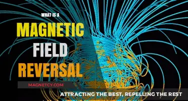 Unlocking the Mysteries of Earth's Magnetic Field Reversals