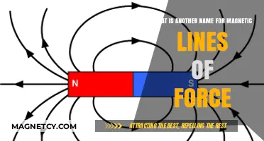Exploring the Invisible: Understanding Magnetic Field Lines