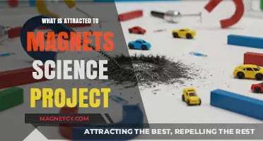 Exploring Magnetic Attraction: A Fun Science Project for Curious Minds