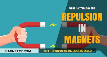 Understanding Magnetic Forces: Attraction and Repulsion Explained Simply
