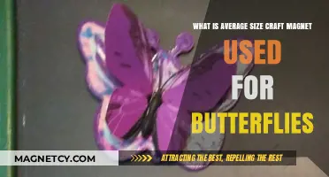 Craft Magnets for Butterflies: Uses of Average-Sized Magnets