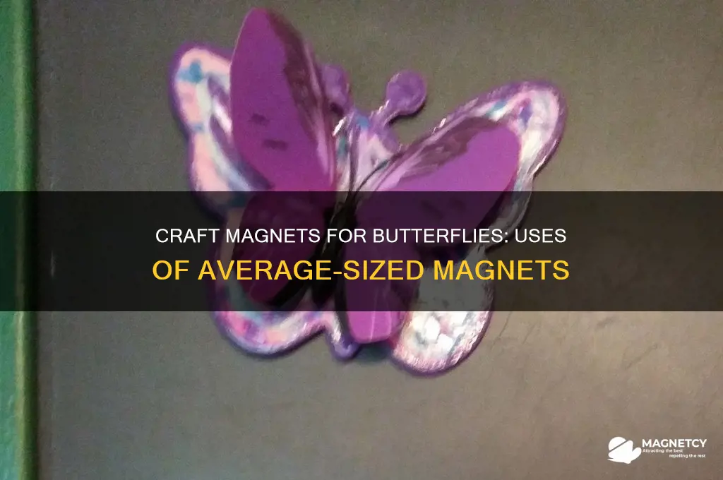 what is average size craft magnet used for butterflies
