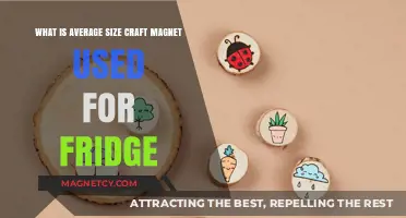 Average-Sized Craft Magnets: Practical Uses for Your Fridge Decor