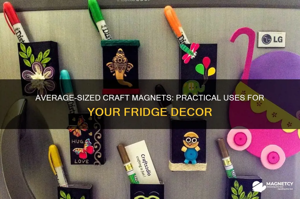 what is average size craft magnet used for fridge
