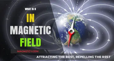 Decoding the Mysteries of Magnetic Fields: What is B?