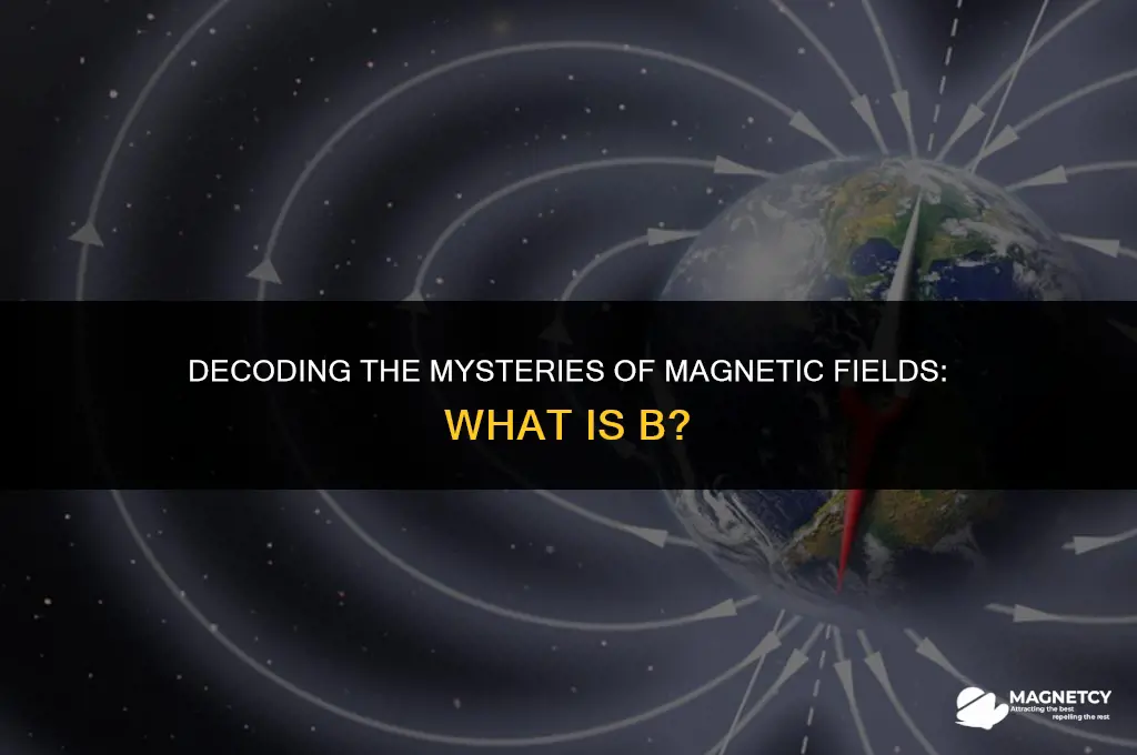 what is b in magnetic field