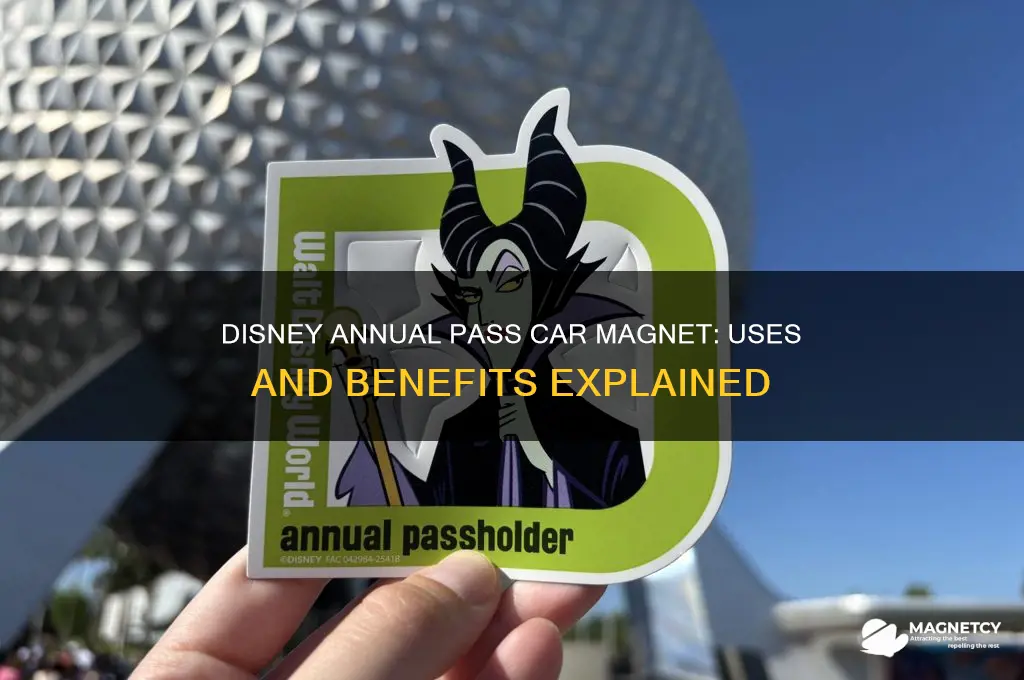 what is disney annual pass car magnet used for