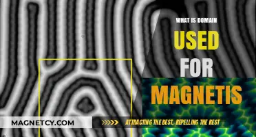 Understanding Domain Theory: How Magnetic Domains Influence Material Magnetism
