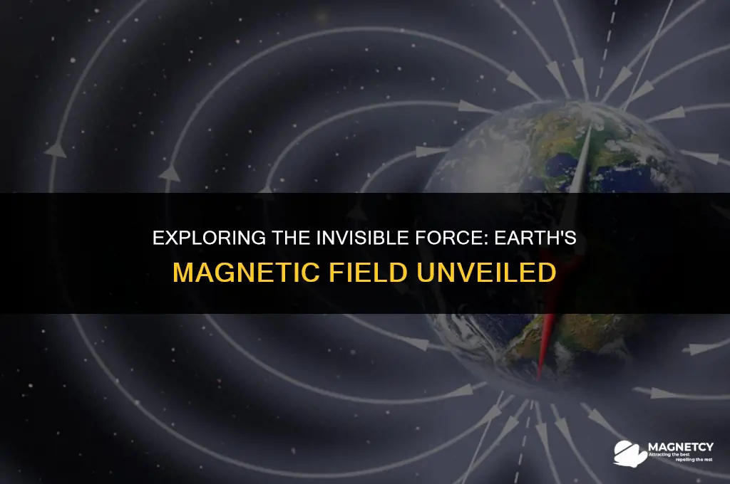 what is earth