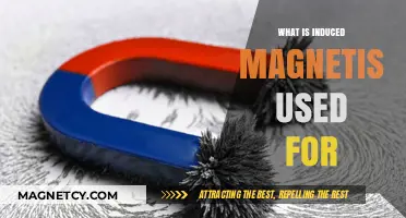 Exploring Induced Magnetism: Practical Applications and Real-World Uses