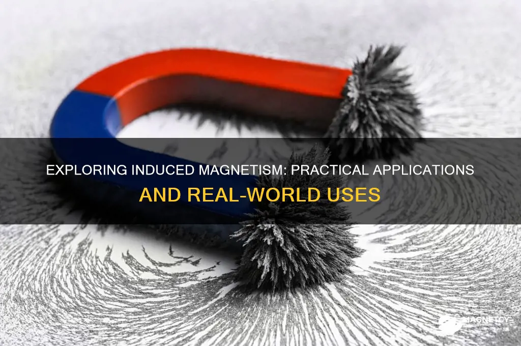 what is induced magnetism used for