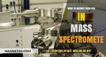 Magnets in Mass Spectrometry: Essential Functions and Applications Explained
