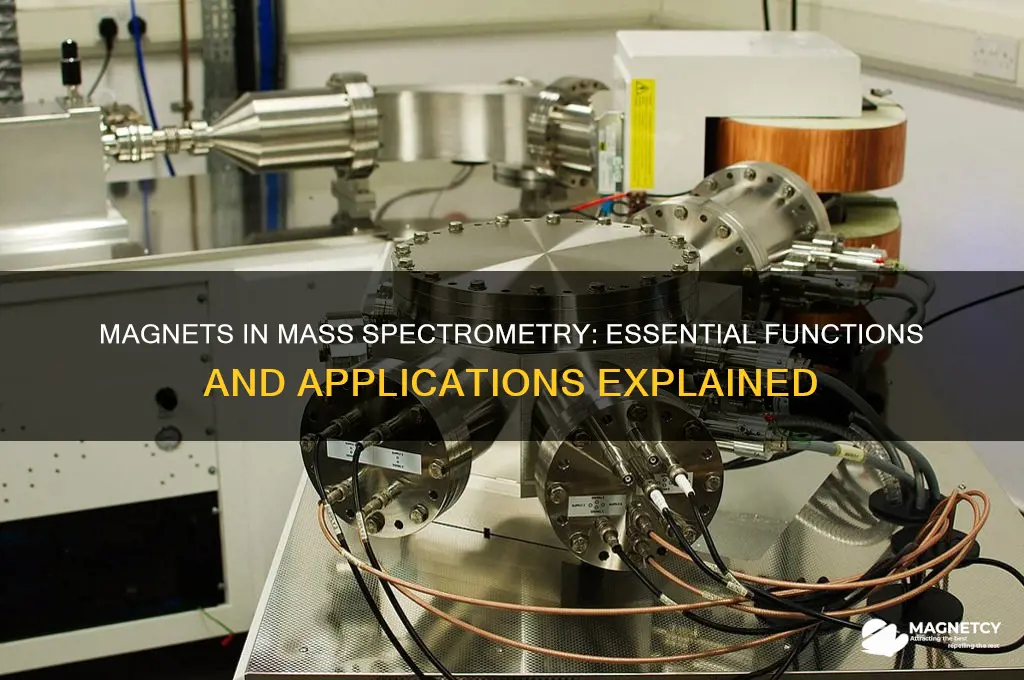 what is magnet used for in mass spectrometer