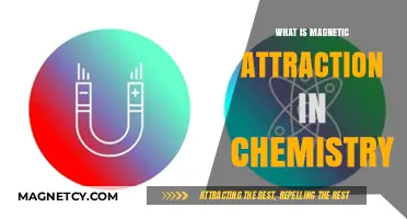 Understanding Magnetic Attraction: Chemistry's Force Behind Atomic Bonds Explained