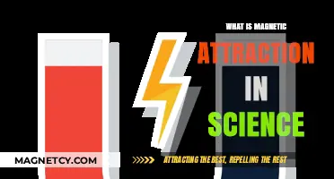 Understanding Magnetic Attraction: Science Behind Opposites Attracting in Physics