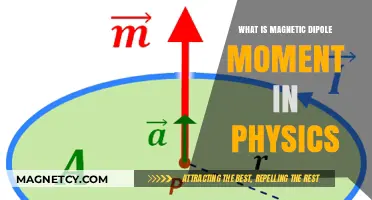 Understanding Magnetic Dipole Moments in Physics: A Comprehensive Guide