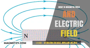 Exploring the Fundamentals: Magnetic and Electric Fields Unveiled