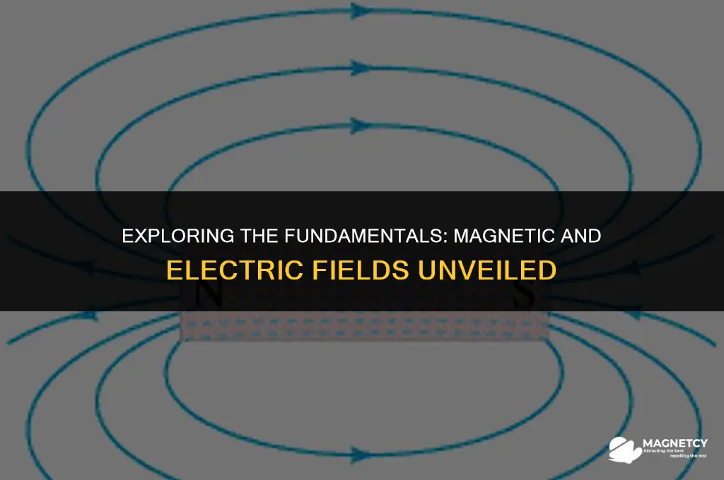 what is magnetic field and electric field