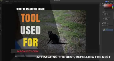Mastering the Magnetic Lasso Tool: Uses and Benefits in Photo Editing
