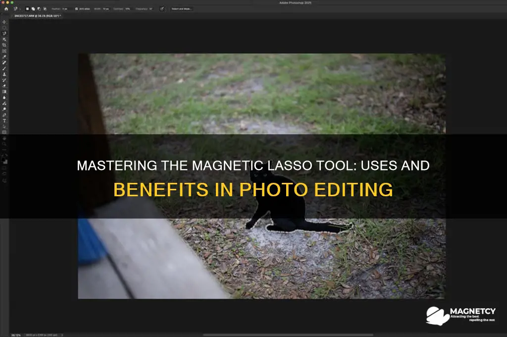 what is magnetic lasso tool used for