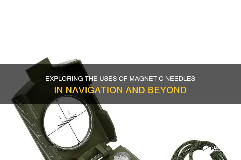 what is magnetic needle used for