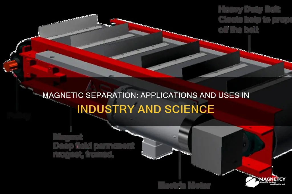 what is magnetic separation used for