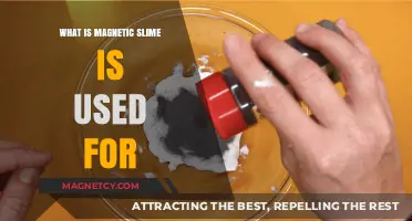 Exploring Magnetic Slime: Creative Uses and Educational Applications