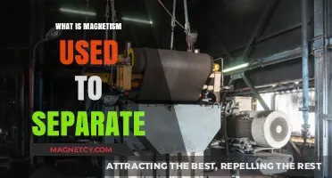 Magnetic Separation: How Magnetism Efficiently Sorts Materials in Industries