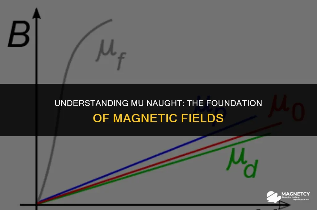 what is mu naught in magnetic field