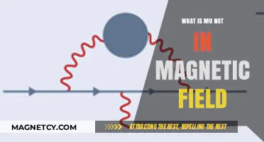 Exploring the Mysteries of Muons Beyond Magnetic Fields