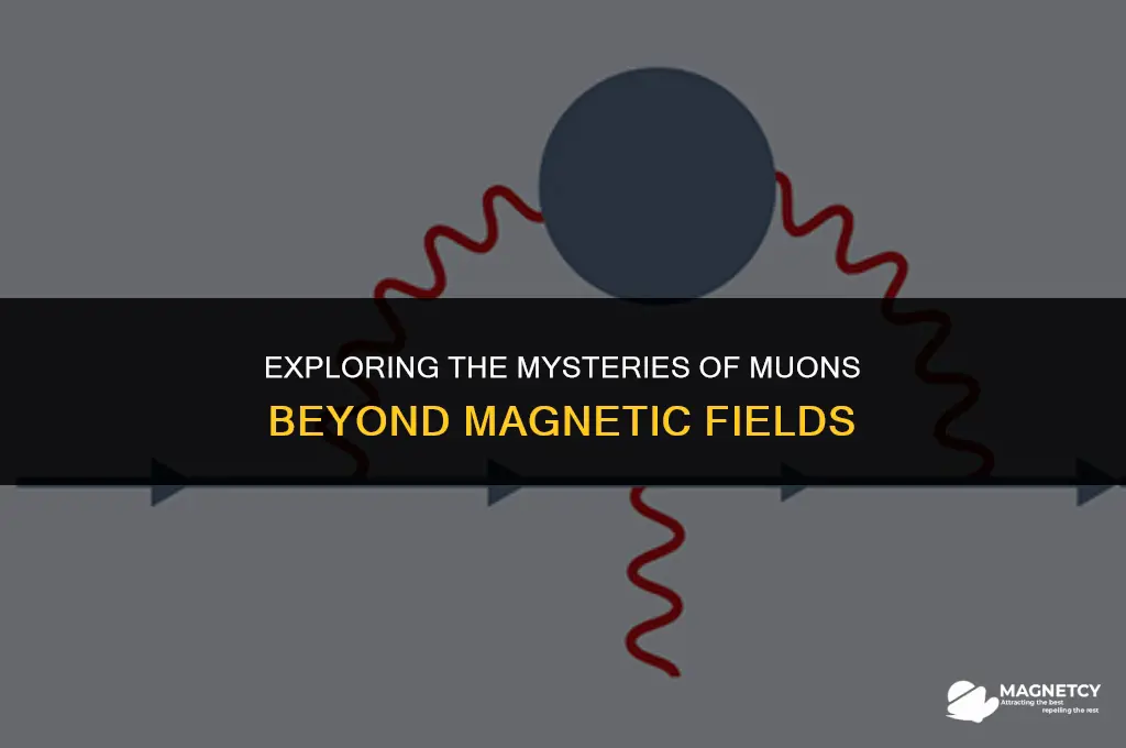 what is mu not in magnetic field