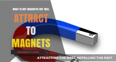 Unveiling Non-Magnetic Materials That Surprisingly Attract to Magnets