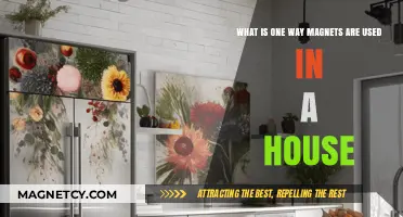 How Magnets Enhance Everyday Home Appliances and Devices