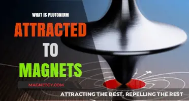 Is Plutonium Magnetic? Exploring Its Attraction to Magnets