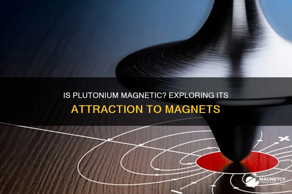 what is plutonium attracted to magnets