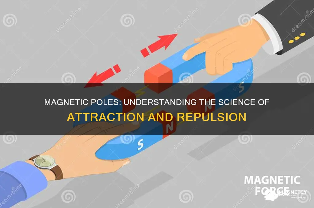 what is repulsion and attraction of magnet pole