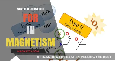 Selenium's Role in Enhancing Magnetic Properties and Applications