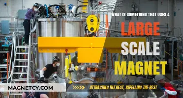 Large-Scale Magnets: Unveiling the Power Behind Modern Technologies
