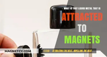 Magnetic Liquid Metal: Unveiling the Mystery of Ferrofluids