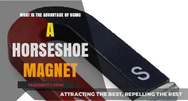 Horseshoe Magnets: Unlocking Unique Advantages in Practical Applications