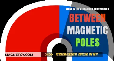 Magnetic Poles: Understanding the Forces of Attraction and Repulsion