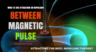 Magnetic Pulse Forces: Unraveling Attraction and Repulsion Dynamics