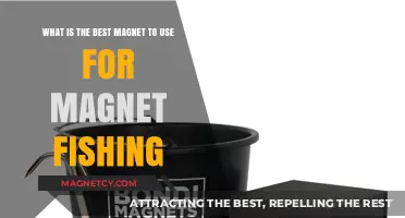 Top Magnet Fishing Magnets: Strength, Durability, and Recovery Tips