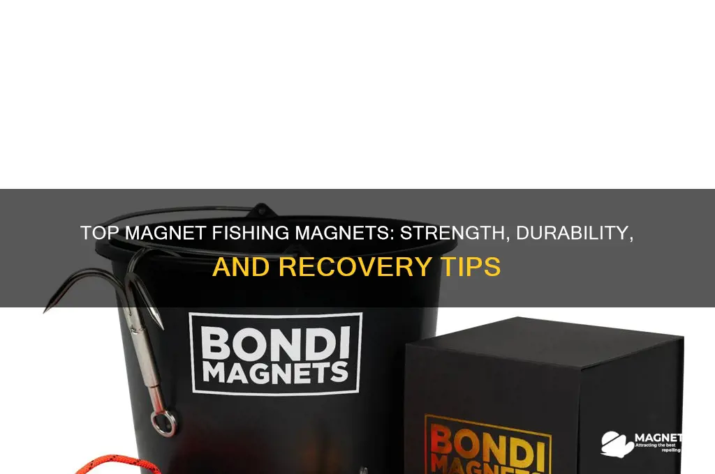 what is the best magnet to use for magnet fishing