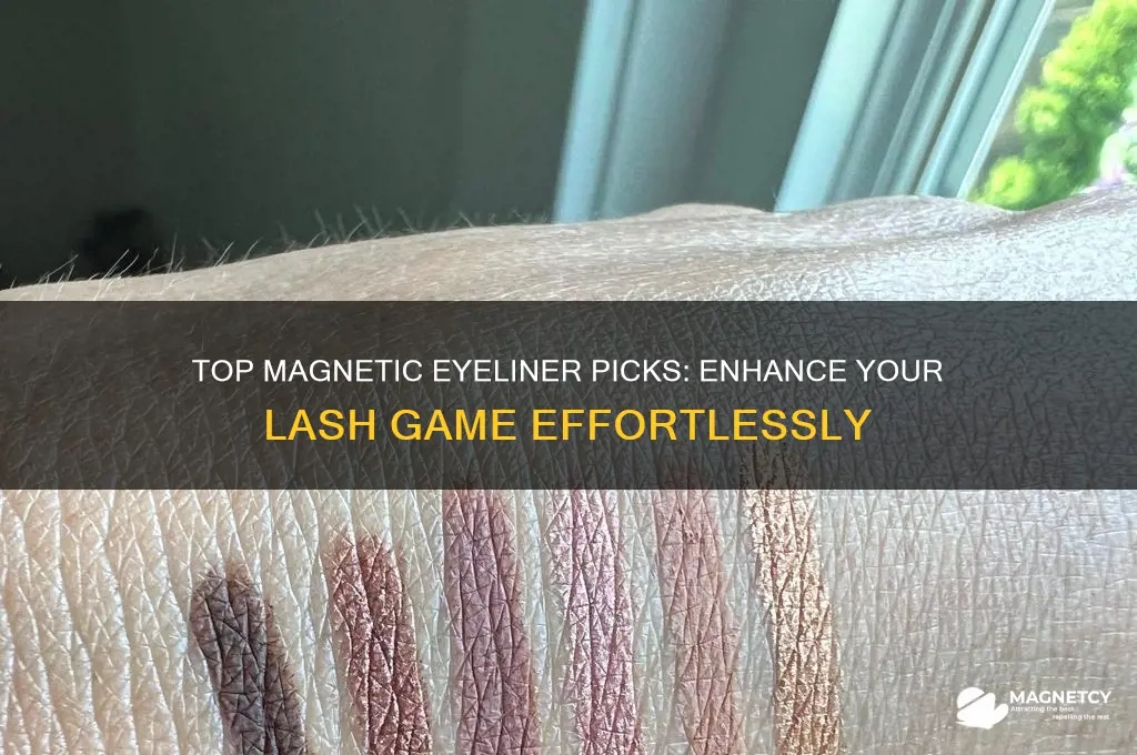 what is the best magnetic eyeliner to use