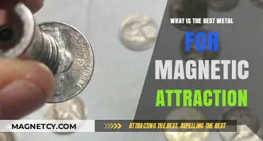 Top Magnetic Metals: Unveiling the Strongest Attractive Properties