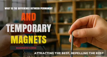 Understanding Magnetism: Permanent vs. Temporary Magnets Explained