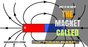 Exploring Magnetism: Understanding the Anatomy of Magnets
