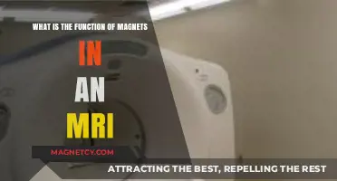 Unlocking the Power of Magnets in MRI Technology