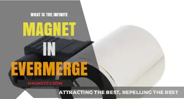 Unlocking the Secrets of the Infinite Magnet in EverMerge